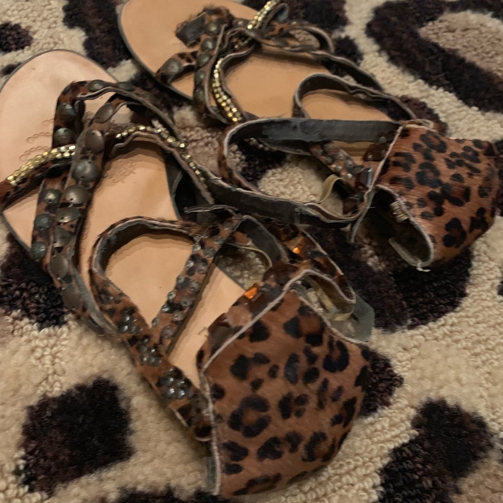 Buckle brand sandals